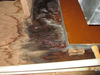 About Clean State Restoration - water damage restoration experts in Waterloo
